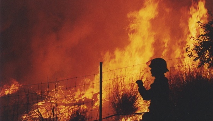 Australian Bushfires